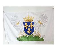 AZ FLAG - Charles VII of France Coat of arms Flag - 2x3 Ft - French Kingdom Banner with Sleeve - 100% Polyester - Fade Resistant - Vivid Colors - 2' x 3' Feet - 90x60 Cm