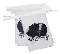 AZ FLAG Corsica Bunting Flag, 20 Ft Garland 20 Small Corse Flags 8'' x 6'', 100% Polyester String Pennant, 6 meters