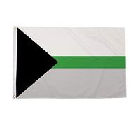 AZ FLAG - Demiromantic Pride Flag - 2x3 Ft - 100D Polyester Lgbt Demisexual Banner with Two Metal Grommets - Fade Resistant - Vivid Colors - 2' x 3' Feet - 90x60 Cm