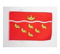 AZ FLAG - East Sussex county Flag - 18'' x 12'' - 100% Polyester East Sussex - England Small Banner with Two Cords - Fade Resistant - Vivid Colors - 18x12 in - 45x30 Cm