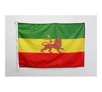 AZ FLAG Ethiopia with lion Boat Flag 90x60 cm Mesh Polyester Plastic Rings