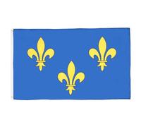 AZ FLAG - Fleur-De-Lis Multi Blue And Gold Flag - 2x3 Ft - 100D Polyester French Royal - France Banner with Two Metal Grommets - Fade Resistant - Vivid Colors - 2' x 3' Feet - 90x60 Cm