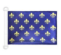 AZ FLAG France Blue and Gold Fleur-de-Lis Boat Flag 45x30 cm Plastic Rings