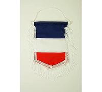 AZ FLAG France Pennant 15x10 cm Light Polyester Cords