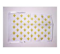 AZ FLAG France White and Gold Fleur-de-Lis Flag 45x30 cm Cords