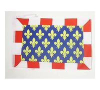 AZ FLAG - French Department of Indre-et-Loire Flag - 18'' x 12'' - 100% Polyester France Small Banner with Two Cords - Fade Resistant - Vivid Colors - 18x12 in - 45x30 Cm