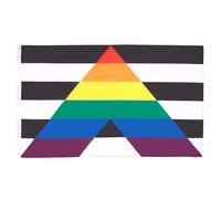 AZ FLAG - Gay Straight Alliance Flag - 2x3 Ft - 100D Polyester Tolerance Banner with Two Metal Grommets - Fade Resistant - Vivid Colors - 2' x 3' Feet - 90x60 Cm