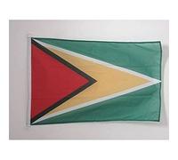 AZ FLAG - Guyana Flag - 2x3 Ft - For Outdoor - Guyanese Banner Knitted Polyester with Two Plastic Rings - Fade Resistant - Vivid Colors - 2' x 3' Feet - 90x60 Cm