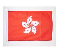 AZ FLAG - Hong Kong Flag - 2x3 Ft - For Outdoor - Hong Konger Banner Knitted Polyester with Two Plastic Rings - Fade Resistant - Vivid Colors - 2' x 3' Feet - 90x60 Cm