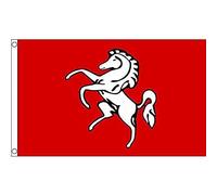 AZ FLAG - Kent County Flag - 2x3 Ft - 100D Polyester County Of Kent - England Banner with Two Metal Grommets - Fade Resistant - Vivid Colors - 2' x 3' Feet - 90x60 Cm