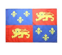 AZ FLAG - Landes Flag - 2x3 Ft - French department Banner with Sleeve - 100% Polyester - Fade Resistant - Vivid Colors - 2' x 3' Feet - 90x60 Cm