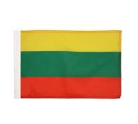 AZ FLAG Lithuania Flag 45x30 cm 100D Polyester Pole Sleeve