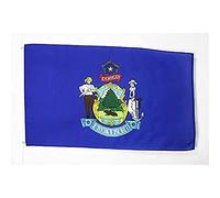 AZ FLAG - Maine Flag - 2x3 Ft - 100D Polyester Us State Of Maine Banner with Two Metal Grommets - Fade Resistant - Vivid Colors - 2' x 3' Feet - 90x60 Cm