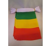 AZ FLAG - Mali Bunting Flag - 20 Ft Garland with 20 Small Malian Flags 8'' x 6'' - 100% Polyester String Pennant - 6 meters