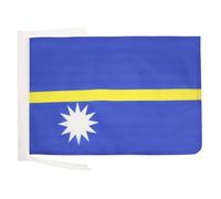 AZ FLAG - Nauru Flag - 18'' x 12'' - 100% Polyester Nauruan Small Banner with Two Cords - Fade Resistant - Vivid Colors - 18x12 in - 45x30 Cm