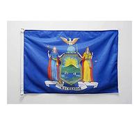 AZ FLAG New York Nautical Flag 18'' x 12'', US state of New York flags 30 x 45 cm, Banner 12x18 in for boat