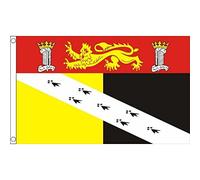 AZ FLAG - Norfolk County Flag - 2x3 Ft - 100D Polyester County Of Norfolk - England Banner with Two Metal Grommets - Fade Resistant - Vivid Colors - 2' x 3' Feet - 90x60 Cm