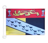 AZ FLAG Norfolk county Nautical Flag 18'' x 12'', County of Norfolk, England flags 30 x 45 cm, Banner 12x18 in for boat