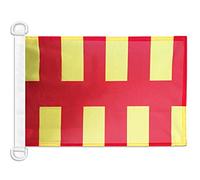 AZ FLAG Northumberland county Nautical Flag 18'' x 12'', County of Northd., England flags 30 x 45 cm, Banner 12x18 in for boat