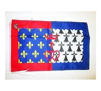 AZ FLAG - Pays de la Loire Flag - 18'' x 12'' - 100% Polyester French region of Pays de la Loire Small Banner with Two Cords - Fade Resistant - Vivid Colors - 18x12 in - 45x30 Cm