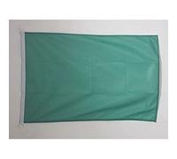 AZ FLAG Plain Green Nautical Flag 18'' x 12'', Green Solid color flags 30 x 45 cm, Banner 12x18 in for boat