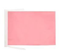 AZ FLAG - Plain Pink Flag - 18'' x 12'' - 100% Polyester Pink Solid color Small Banner with Two Cords - Fade Resistant - Vivid Colors - 18x12 in - 45x30 Cm