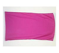 AZ FLAG - Plain Purple Flag - 2x3 Ft - 100D Polyester Purple Solid Color Banner with Two Metal Grommets - Fade Resistant - Vivid Colors - 2' x 3' Feet - 90x60 Cm