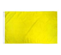 AZ FLAG - Plain Yellow Flag - 3x5 Ft - Light Polyester Yellow Solid color Banner with Two Brass Eyelets - Fade Resistant - Vivid Colors - 3' x 5' Feet - 150x90 Cm