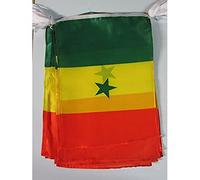 AZ FLAG - Senegal Bunting Flag - 40 Ft Garland with 20 Senegalese Flags 18'' x 12'' - 100% Polyester String Pennant - 12 meters
