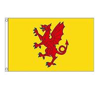 AZ FLAG - Somerset New County Flag - 3x5 Ft - 100D Polyester County Of Somerset - England Banner with Two Metal Grommets - Fade Resistant - Vivid Colors - 3' x 5' Feet - 150x90 Cm
