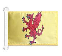 AZ FLAG Somerset New county Nautical Flag 18'' x 12'', County of Somerset, England flags 30 x 45 cm, Banner 12x18 in for boat