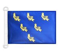 AZ FLAG Sussex county Nautical Flag 18'' x 12'', County of Sussex, England flags 30 x 45 cm, Banner 12x18 in for boat