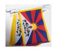 AZ FLAG Tibet Bunting Flag, 20 Ft Garland with 20 Small Tibetan Flags 8'' x 6'', 100% Polyester String Pennant, 6 meters
