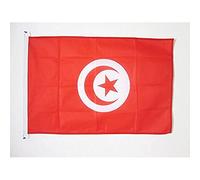 AZ FLAG - Tunisia Flag - 2x3 Ft - For Outdoor - Tunisian Banner Knitted Polyester with Two Plastic Rings - Fade Resistant - Vivid Colors - 2' x 3' Feet - 90x60 Cm