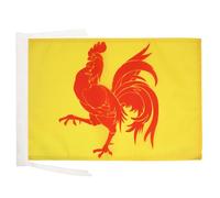 AZ FLAG - Wallonia Flag - 18'' x 12'' - 100% Polyester Belgium - Walloon Small Banner with Two Cords - Fade Resistant - Vivid Colors - 18x12 in - 45x30 Cm