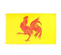 AZ FLAG - Wallonia Flag - 2x3 Ft - 100D Polyester Belgium - Walloon Banner with Two Metal Grommets - Fade Resistant - Vivid Colors - 2' x 3' Feet - 90x60 Cm