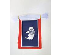 AZ FLAG Wyoming Bunting Flag, 20 Ft Garland 20 Small US state of Wyoming Flags 8'' x 6'', 100% Polyester String Pennant, 6 meters