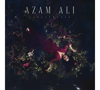 Ali, Azam - Synesthesia