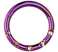 AZARIO LONDON Five Paved Crystal Gemstone 16 Gauge - 8mm Diameter Purple Anodized Surgical Steel Clicker Hinged Segment Ring Helix Cartilage Earring Tragus Hoop Ring Piercing Jewellery