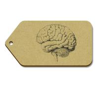 Azeeda 10 x Large 'Human Brain Side View' Wooden Gift Tags (TG00138479)