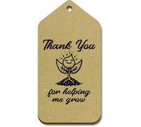 Azeeda 10 x Large 'Thank You for Helping Me Grow' Wooden Gift Tags (TG00131427)