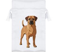 Azeeda 15cm 'Rhodesian Ridgeback Dog' Satin Drawstring Bag/Pouch (SB00143529)