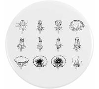 Azeeda 2 x 38mm 'Dandelion Growth Cycle' Small Button Pin Badges (BB00165301)