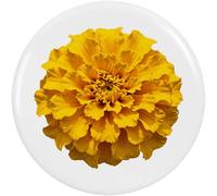 Azeeda 2 x 38mm 'Marigold Flower' Small Button Pin Badges (BB00164119)