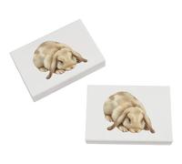 Azeeda 2 x 45mm 'Lop Eared Rabbit' Erasers/Rubbers (ER00055513)