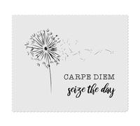 Azeeda 2 x 'Carpe Diem: Seize The Day' Lens Cleaning Cloths (LC00032817)