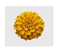 Azeeda 2 x 'Marigold Flower' Lens Cleaning Cloths (LC00040240)