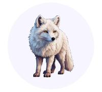 Azeeda 24 x 'Arctic Fox' Stickers - for Crafts, Scrapbooking and Labelling (SK00079715)
