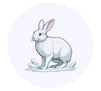 Azeeda 24 x 'Arctic Hare in Snow' Stickers - for Crafts, Scrapbooking and Labelling (SK00079720)