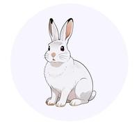 Azeeda 24 x 'Arctic Hare' Stickers - for Crafts, Scrapbooking and Labelling (SK00079718)